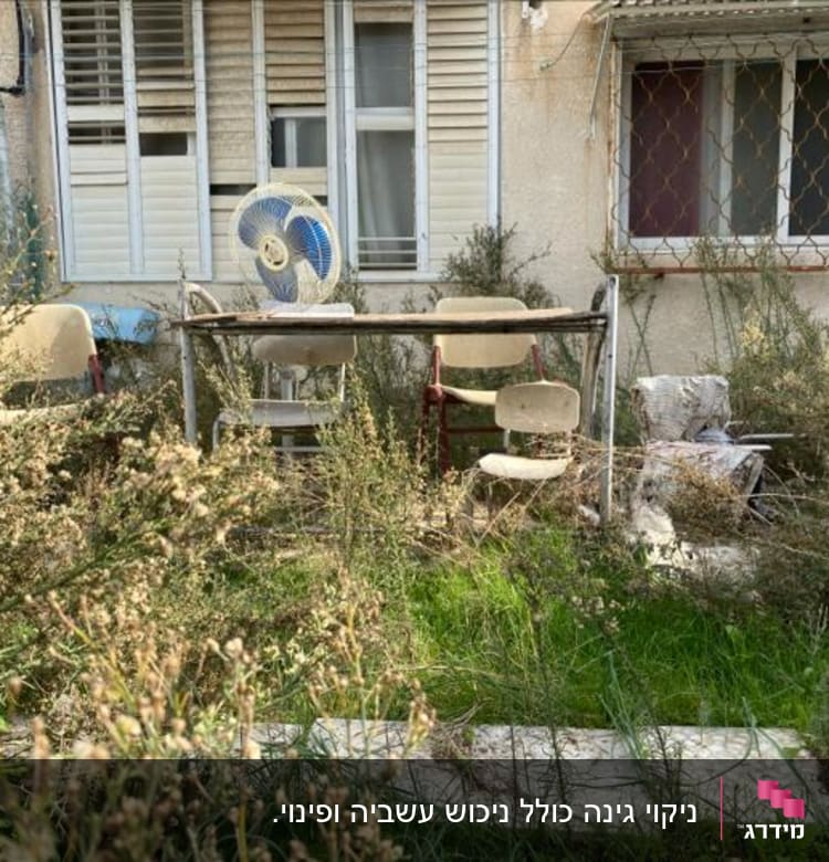 עשבים גבוהים צומחים בגינה מוזנחת עם כיסאות ושולחן.